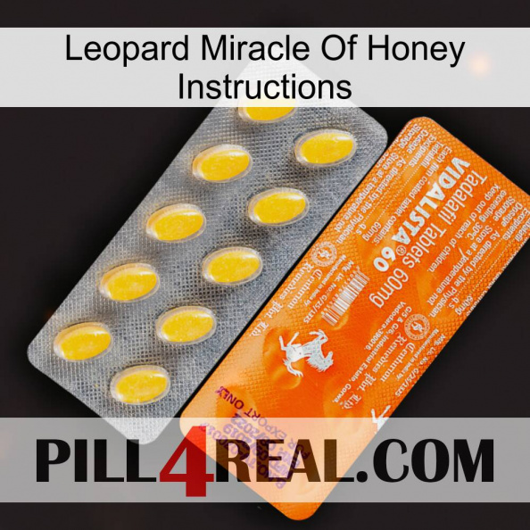 Leopard Miracle Of Honey Instructions new05.jpg